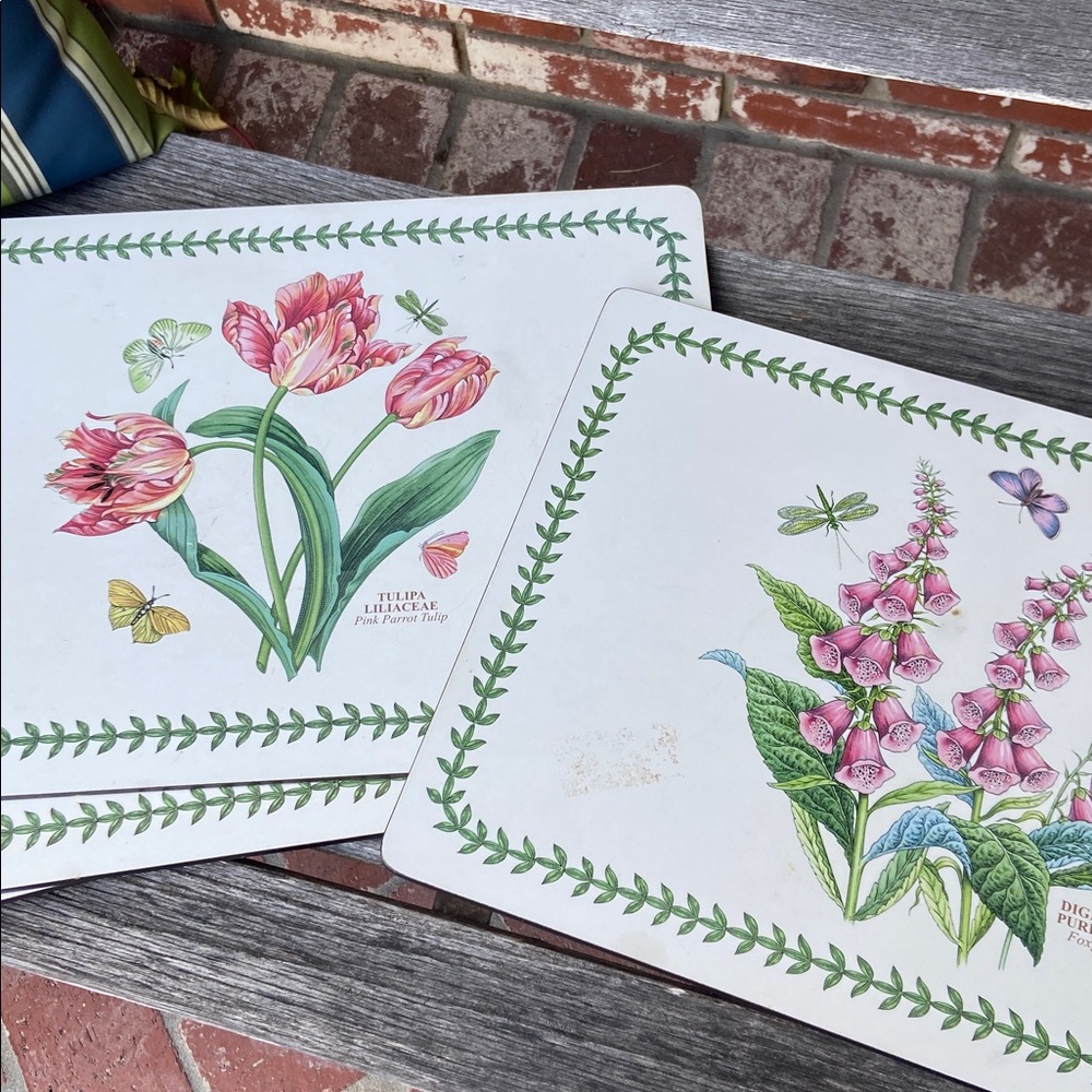 Portmeirion flowers cork placemats (4)